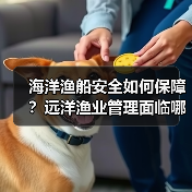 海洋渔船安全如何保障？远洋渔业管理面临哪
