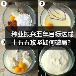 种业振兴五年目标达成 十五五攻坚如何破局