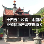 十四五”收官：中国农业如何稳产增效推动乡