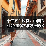 十四五”收官:中国农业如何稳产增效推动乡村振兴?(图2) 十四五”收官:中国农业如何稳产增效推动乡村振兴?(图2)