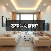 怎样识别榕树？（图2）