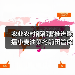 农业农村部部署推进晚播小麦油菜冬前田管保安全越冬工作（图3）