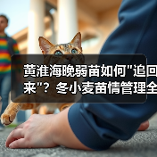 黄淮海晚弱苗如何
