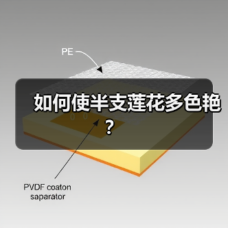 如何使半支莲花多色艳？