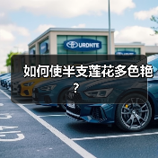 如何使半支莲花多色艳？（图4）