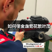 如何使金盏菊花繁叶茂(图3) 如何使金盏菊花繁叶茂(图3)