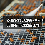 农业农村部部署2026年元旦春节促消费工作(图3) 农业农村部部署2026年元旦春节促消费工作(图3)