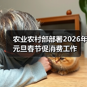 农业农村部部署2026年元旦春节促消费工