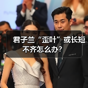 君子兰“歪叶”或长短不齐怎么办？（图2）