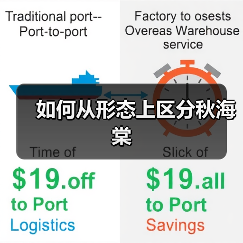 如何从形态上区分秋海棠（图4）