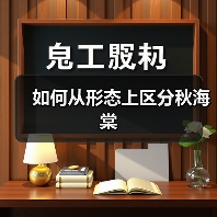 如何从形态上区分秋海棠（图3）