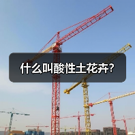 什么叫酸性土花卉？（图2）