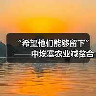 “希望他们能够留下”——中埃塞农业减贫合作项目造福埃塞小村（图2）