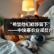 “希望他们能够留下”——中埃塞农业减贫合作项目造福埃塞小村（图4）