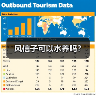 风信子可以水养吗？