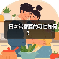 日本常春藤的习性如何？