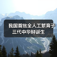 我国首批全人工繁育子三代中华鲟诞生(图4) 我国首批全人工繁育子三代中华鲟诞生(图4)
