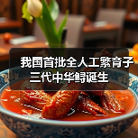 我国首批全人工繁育子三代中华鲟诞生(图1) 我国首批全人工繁育子三代中华鲟诞生(图1)