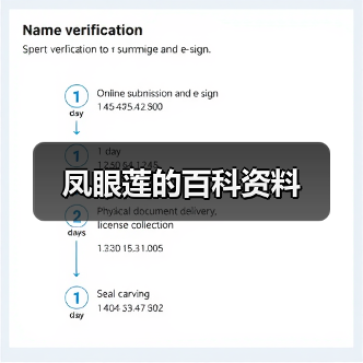 凤眼莲的百科资料（图2）