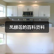 凤眼莲的百科资料（图4）