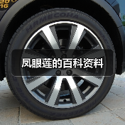 凤眼莲的百科资料