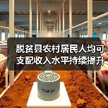 脱贫县农村居民人均可支配收入水平持续提升——前三季度增速快于全国农村0.5个百分点（图2）