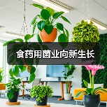 食药用菌业向新生长（图4）