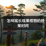 怎样延长观果植物的挂果时间（图4）