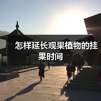怎样延长观果植物的挂果时间（图3）