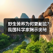 野生苦荞为何更耐盐?我国科学家揭示奥秘(图3) 野生苦荞为何更耐盐?我国科学家揭示奥秘(图3)