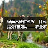 锲而不舍传薪火 廿载援外结硕果——农业农村部国际交流服务中心农业援外纪实(图2) 锲而不舍传薪火 廿载援外结硕果——农业农村部国际交流服务中心农业援外纪实(图2)