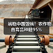端稳中国饭碗!农作物自育品种超95%(图3) 端稳中国饭碗!农作物自育品种超95%(图3)