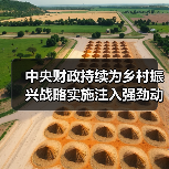 中央财政持续为乡村振兴战略实施注入强劲动