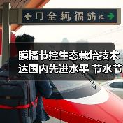 膜播节控生态栽培技术达国内先进水平 节水节肥节药效果显著(图2) 膜播节控生态栽培技术达国内先进水平 节水节肥节药效果显著(图2)