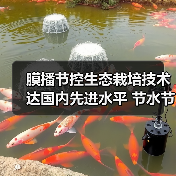 膜播节控生态栽培技术达国内先进水平 节水节肥节药效果显著(图4) 膜播节控生态栽培技术达国内先进水平 节水节肥节药效果显著(图4)