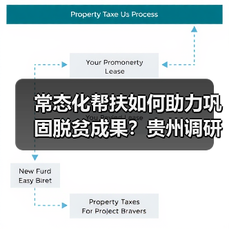 常态化帮扶如何助力巩固脱贫成果？贵州调研给出关键答案（图2）