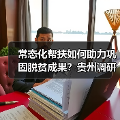 常态化帮扶如何助力巩固脱贫成果？贵州调研给出关键答案（图4）