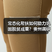 常态化帮扶如何助力巩固脱贫成果？贵州调研给出关键答案