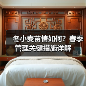 冬小麦苗情如何?春季管理关键措施详解(图4) 冬小麦苗情如何?春季管理关键措施详解(图4)